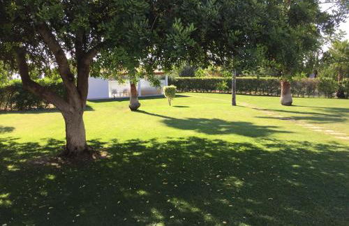 Family Country House - Foto 62