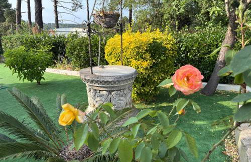 Costa Brava Paradís - Foto 12