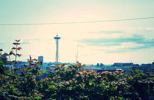 Seattle Urvan Village- Rainier - Foto 10