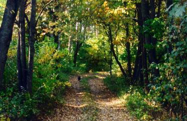 Butterfly Factory - Foto 56