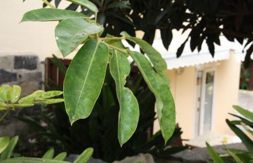 Finca Paraiso Monturrio Oase der Ruhe - Foto 15