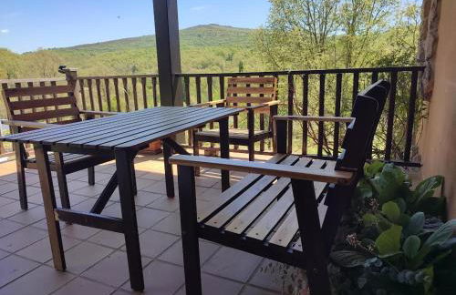 Estrella del alba - Foto 22