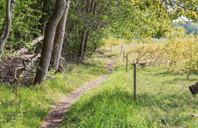 5 Person Holiday Home in Stege - Foto 15