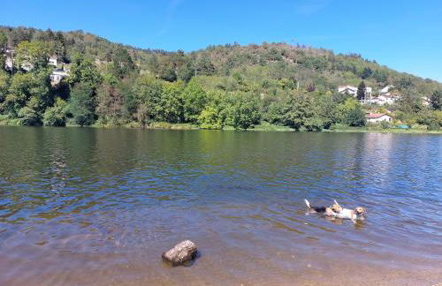 LA TRABOULE Maison de ville avec extérieur - Foto 56