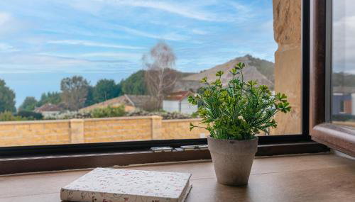 Arce Singular - Foto 5