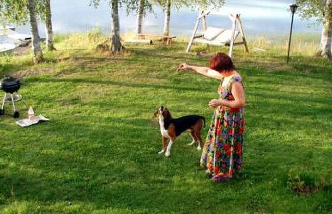 2 bedroom House in Sonkajärvi with sauna - Photo 9