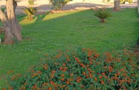 Il Casale Colle San Pietro - Foto 20