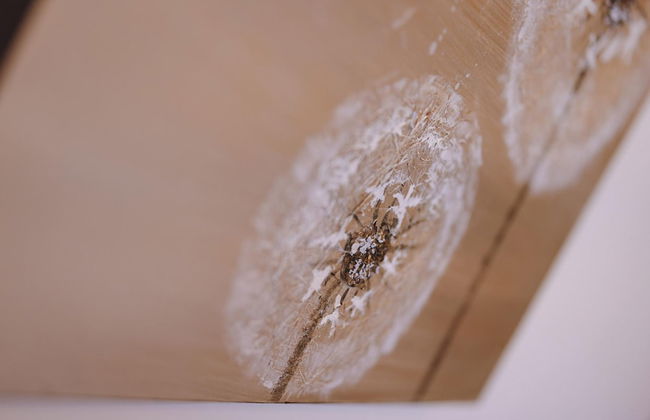 Appartements Sulzer - TOP 24 - Foto 5