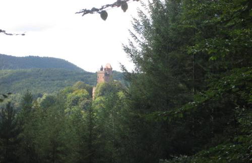 Ferienwohnung Schehl - Foto 19