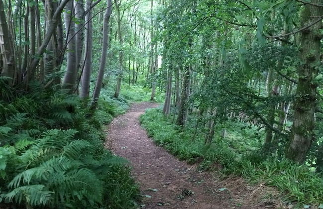 Broomhills Farm River Eco Pods - Foto 12