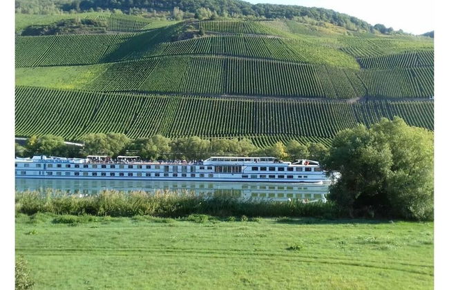 Holiday Apartment Moselle Beach 1 - Photo 31