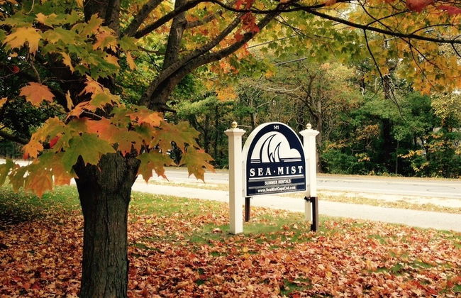 Sea Mist Resort - Foto 38