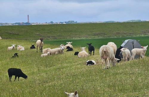 Ferienappartment Nordseenixe - Foto 28