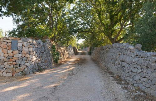 Il nido delle rondini - Foto 26