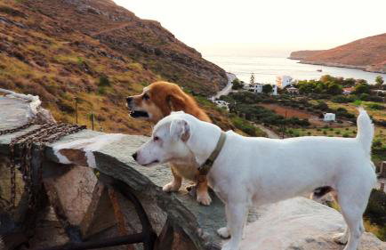 Sun Holiday House - Foto 18