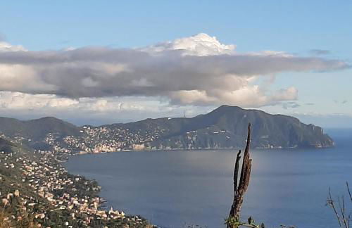 Dal Moro 44 - Foto 79