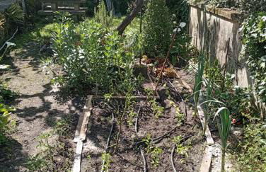 Casinha da Horta com Jacuzzi - Foto 34