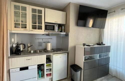 Appartement 2 pièces avec climatisation, terrasse et parking près des plages - FR-1-338-546 - Photo 5