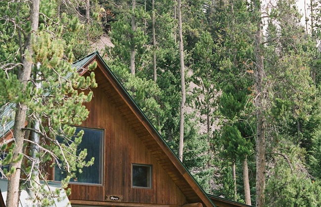 320 Guest Ranch - Photo 24