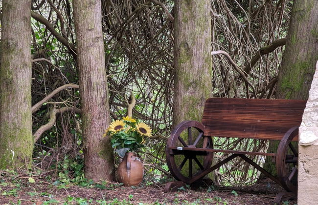 BONFARTO LOCATIONS - Foto 39