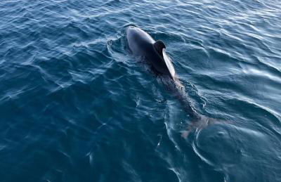 Studio au cœur de la Napoule, plages et village à pied - Foto 15