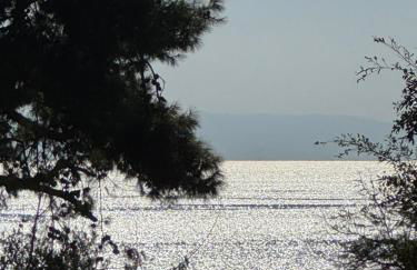 Athenian Coastal Urban Living - Foto 47