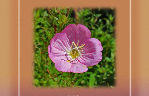 Ikaria Utopia - Cusco Studios - Photo 51