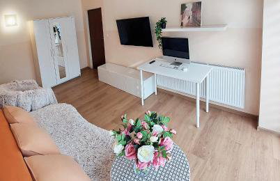 Apartamenty Górki Małe - Foto 14