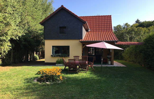 Ferienhaus Mirow-Lärz - Kamin Wald Ruhe - Foto 54