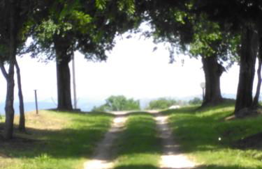 Agriturismo Uliveto Gretacci - Foto 57