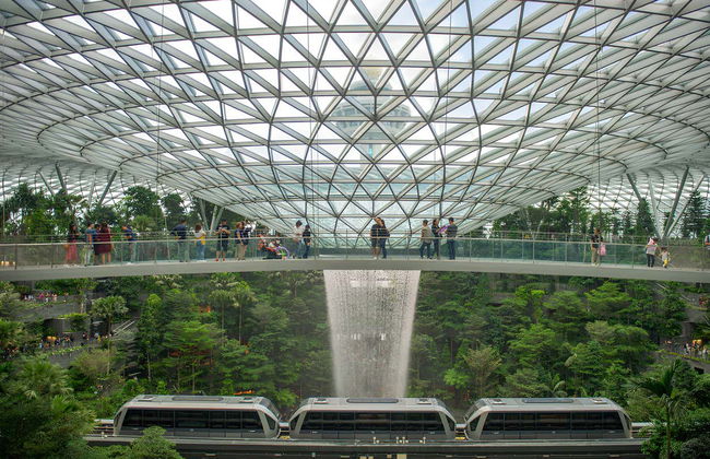 Entrada al Canopy Park del aeropuerto de Singapur - Foto 10