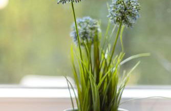 Haus am See - Photo 60