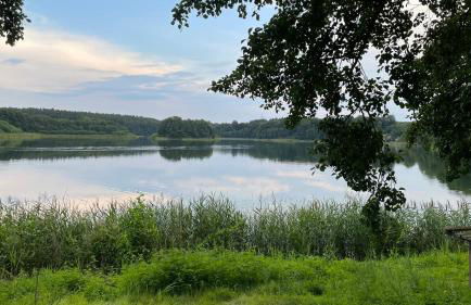 Ferienhaus Weisdin - Foto 14