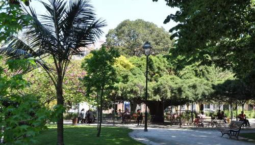 Água-da-Flor apartments - Photo 3, Garden, Garden view