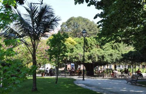 Água-da-Flor apartments - Photo 3