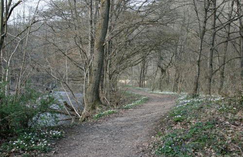 Witts Home from Home - Foto 56