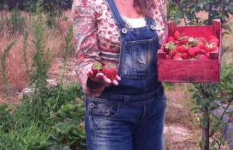 Casa do Vale-Villa with private pool and garden - Foto 8