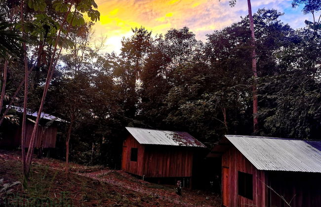 Citronela Lodge Corcovado - Foto 30