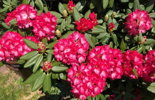 Bel Art Etage mit großem Parkplatz - Foto 34