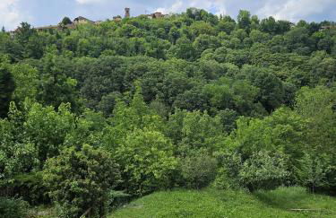 La casa rossa nel Monferrato a Moncucco Torinese - Foto 54