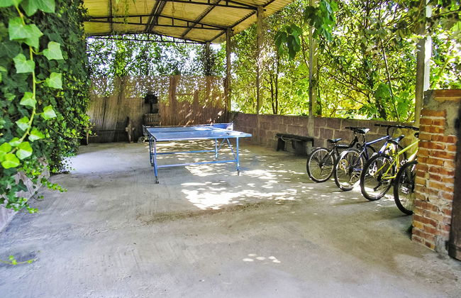 Il Gelsomino - Foto 16