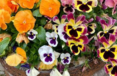 La Locanda Del Tevere - Foto 51