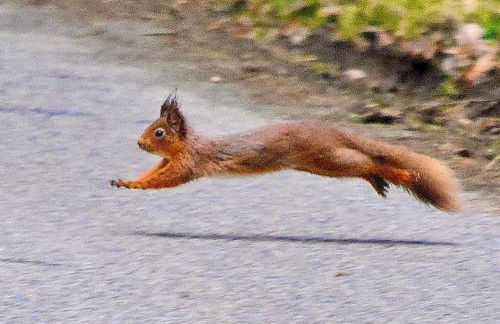 Creran Apartment, Kinlochlaich House - Foto 12