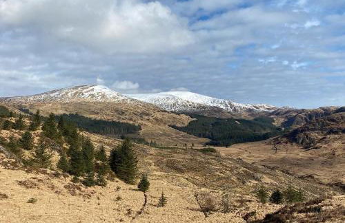 The Coorie - Foto 24