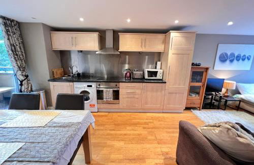 Happy River Thames View Entire Apartment - Foto 38