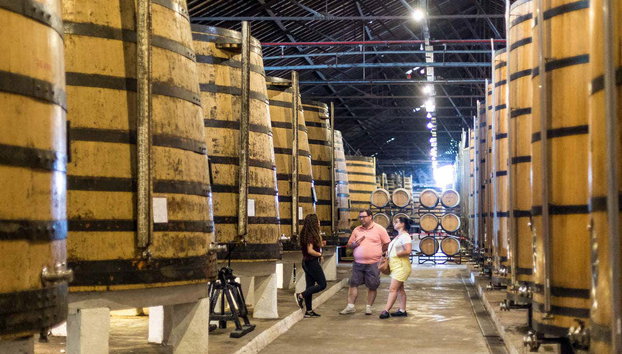 Visita a la bodega Real Companhia Velha + Tren turístico - Foto 4, Interior de la bodega