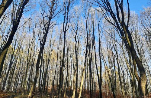 Apartament Laurka - Foto 23