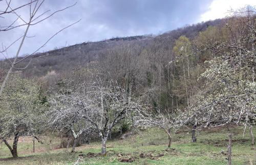La Petite Maison-Les logis d'Agaliaure - Foto 25