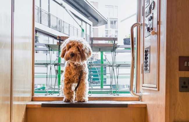 The Four Sisters Boatel - Foto 15