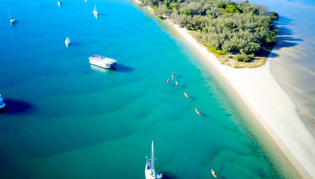Kayak and Snorkel Dolphin-Watching Tour - Photo 2
